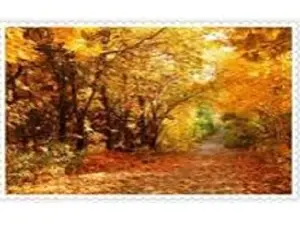 Схема 45*60см укр