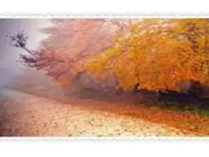 Схема 64*48см укр