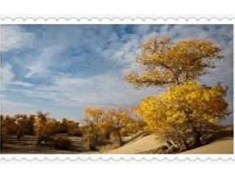 Схема 40*60см укр