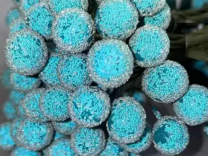 Цукрові ягідки калини