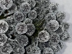 Цукрові ягідки калини