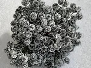 Цукрові ягідки калини