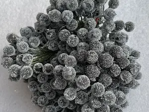 Цукрові ягідки калини