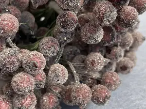 Цукрові ягідки калини