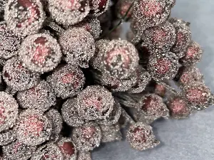 Цукрові ягідки калини