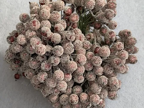 Цукрові ягідки калини