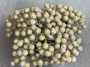 Цукрові ягідки калини