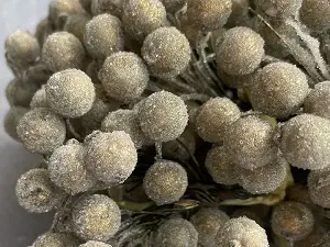 Цукрові ягідки калини