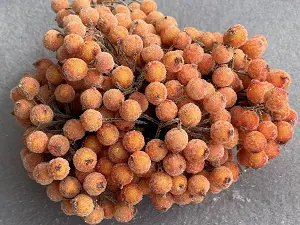 Сахарные ягодки калины