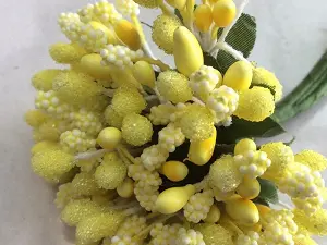 Тичинки на гілочках