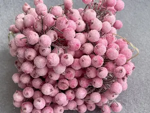 Сахарные ягодки калины