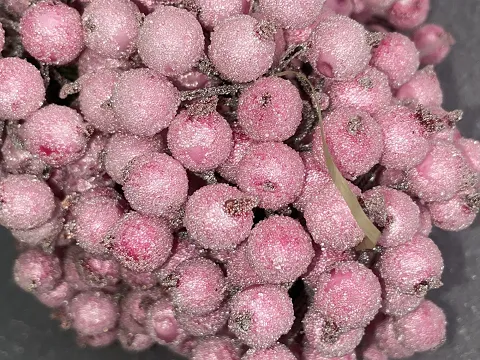 Сахарные ягодки калины