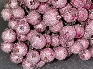 Сахарные ягодки калины