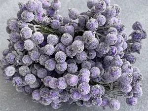 Цукрові ягідки калини