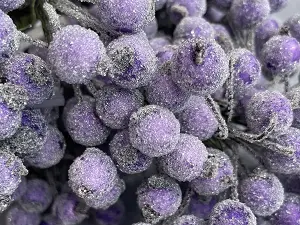 Цукрові ягідки калини