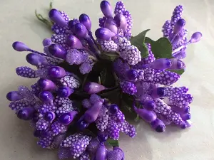 Тичинки на гілочках