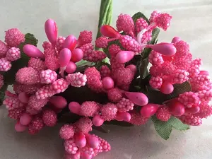 Тичинки на гілочках