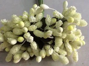 Тичинки на гілочках