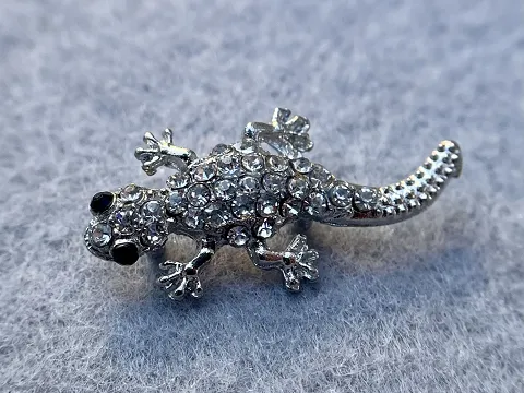 Разделитель Ящерица