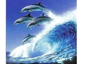 картина 40*50см