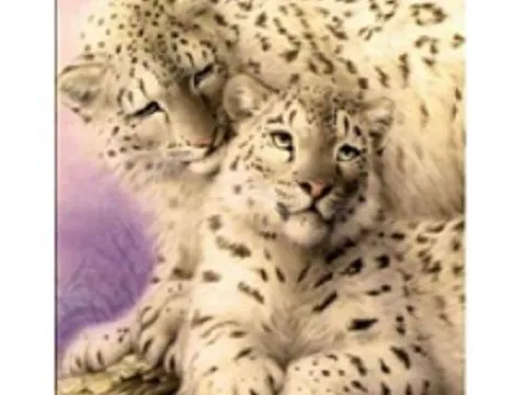 Картина 40*55см