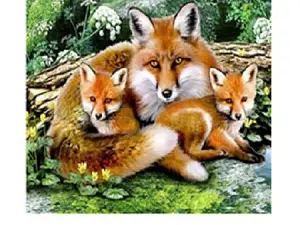 Картина 40*50см