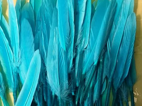 Перо на ножке