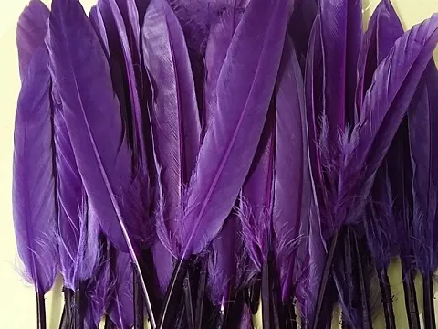 Перо на ножке