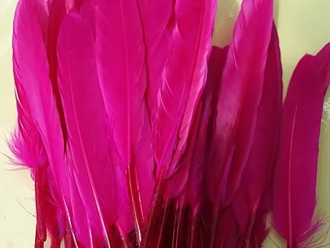 Перо на ніжці