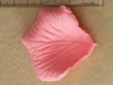 Лепестки роз