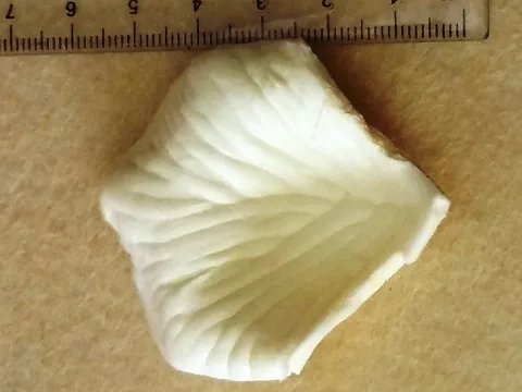 Пелюстки троянд