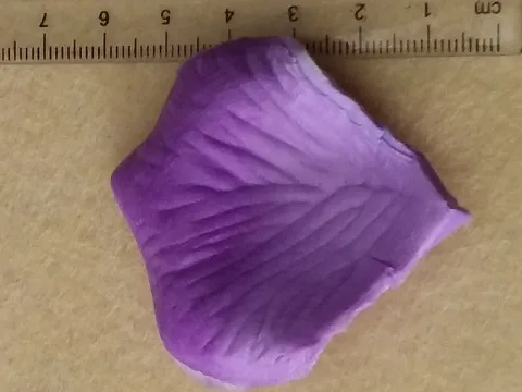 Пелюстки троянд