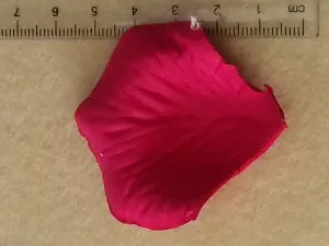 Пелюстки троянд