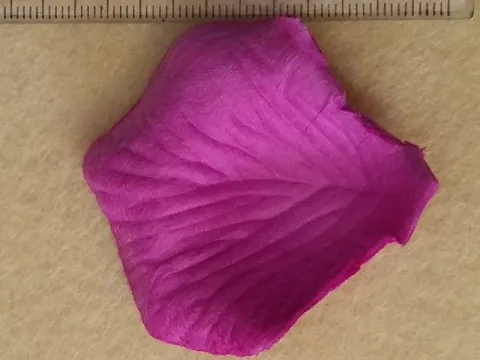 пелюстки троянд