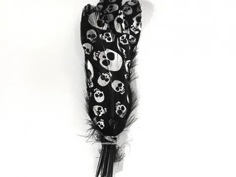 Перо з черепом