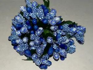 Тичинки на гілочках