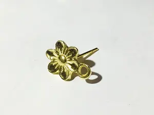 Швенза-цвях