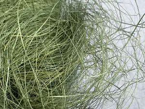 сизаль хакі