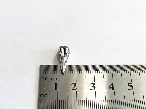 Череп птиці