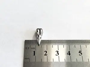 Череп птиці