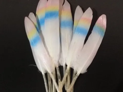 пір'я кольорові