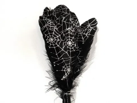 Перо с рисунком