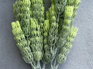 штучна зелень