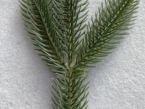 Штучна гілочка ялинки