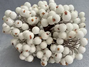 Цукрові ягідки калини