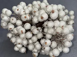 Цукрові ягідки калини