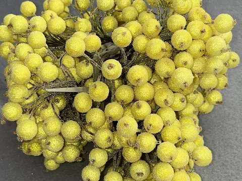 Цукрові ягідки калини