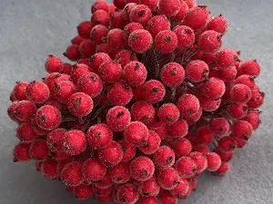 Цукрові ягідки калини