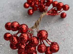 Ягідки калини гліттерние