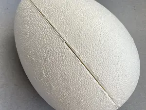 Заготівля з пінопласту-яйце 22см